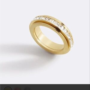 Mint and Lily Fidget Ring